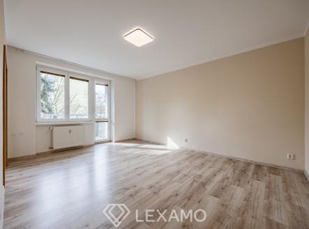 Pronájem bytu, 2+1, 55 m²