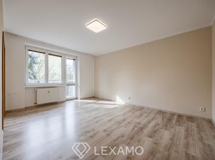 Pronájem bytu, 2+1, 55 m²