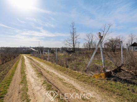 Pronájem pozemku, zahrada, 1 217 m²