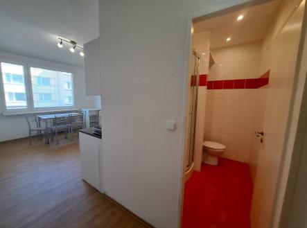 Pronájem bytu, 1+1, 36 m²