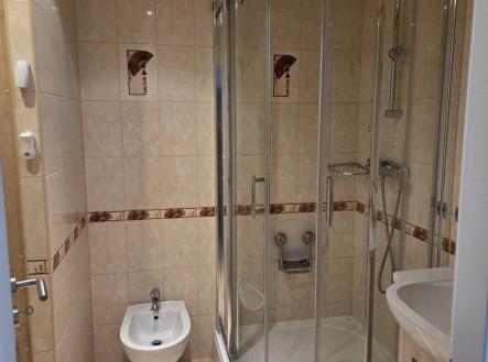 Pronájem bytu, 2+1, 48 m²