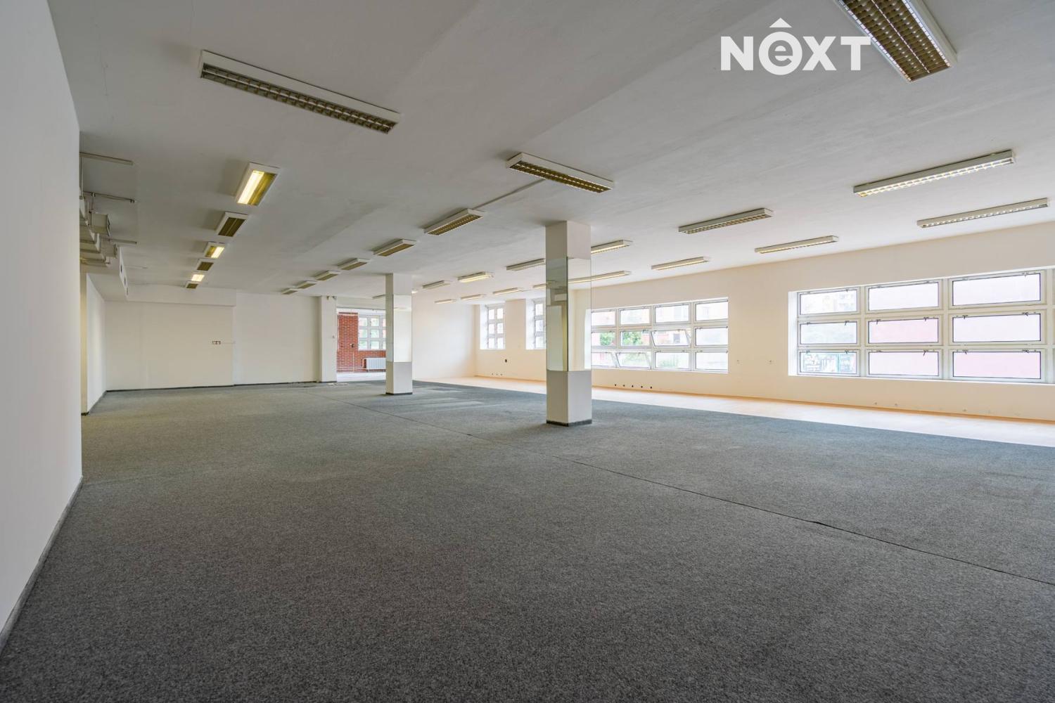 Pronájem komerční Obchodní prostory, 753㎡