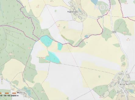Prodej pozemku, les, 41 070 m²