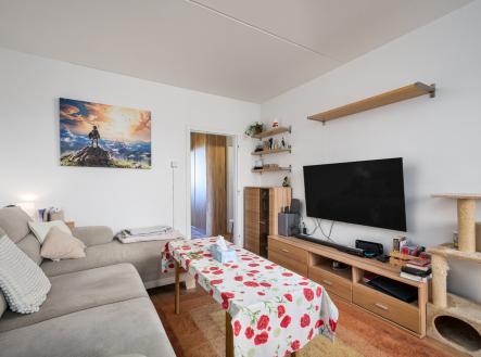 Prodej bytu, 3+1, 73 m²