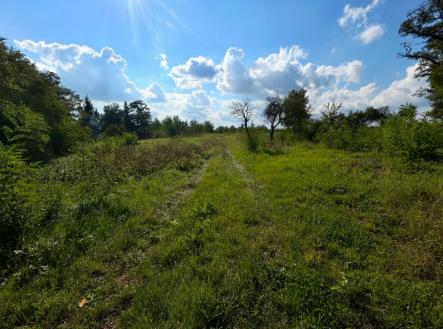 Prodej pozemku pro bydlení, 2 750 m²