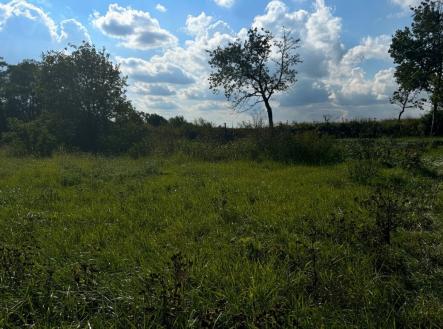 Prodej pozemku pro bydlení, 2 750 m²