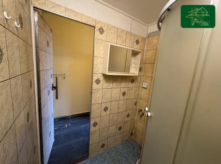 Pronájem bytu, 1+kk, 20 m²