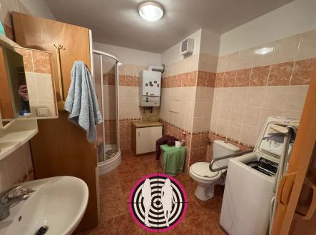 Pronájem bytu, 1+kk, 43 m²
