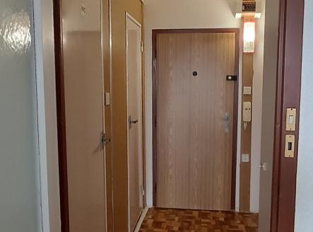 Pronájem bytu, 1+kk, 29 m²