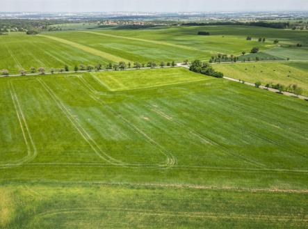 Prodej - pozemek pro bydlení, 1 010 m²