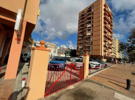 Orchid Casel de Paradise.