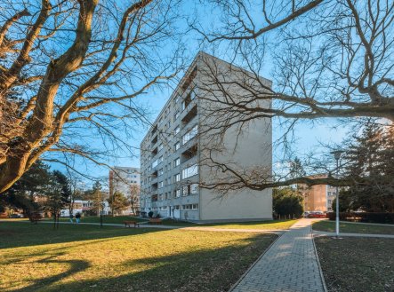Prodej bytu 3+kk 63 m², Pardubice - Polabiny
