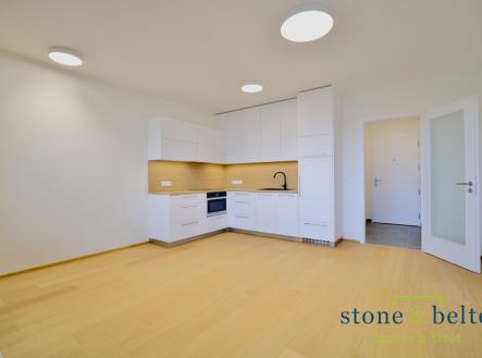 Pronájem bytu, 1+kk, 36 m²