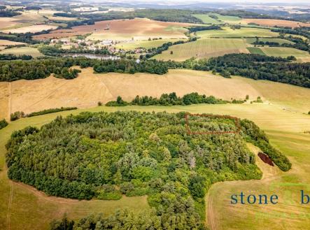 Prodej pozemku, les, 45 954 m²