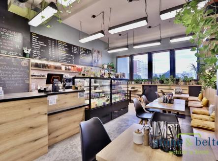 Pronájem obchodní prostor, 254 m²