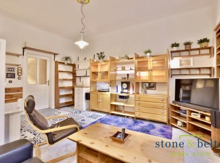 Pronájem bytu, 1+1, 49 m²