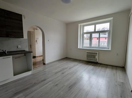 Pronájem bytu, 2+kk, 48 m²