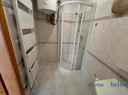 Pronájem bytu, 1+1, 48 m²