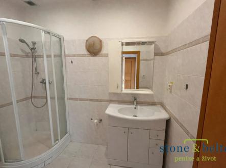 Pronájem bytu, 1+1, 48 m²