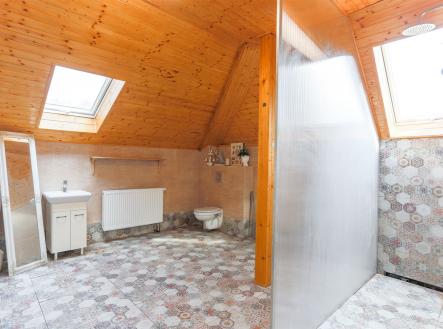 Prodej domu/vily, 258 m²