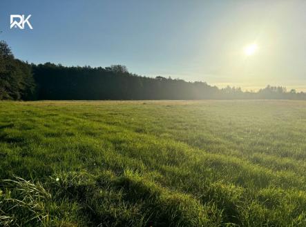 Prodej - pozemek, zemědělská půda, 5 438 m²