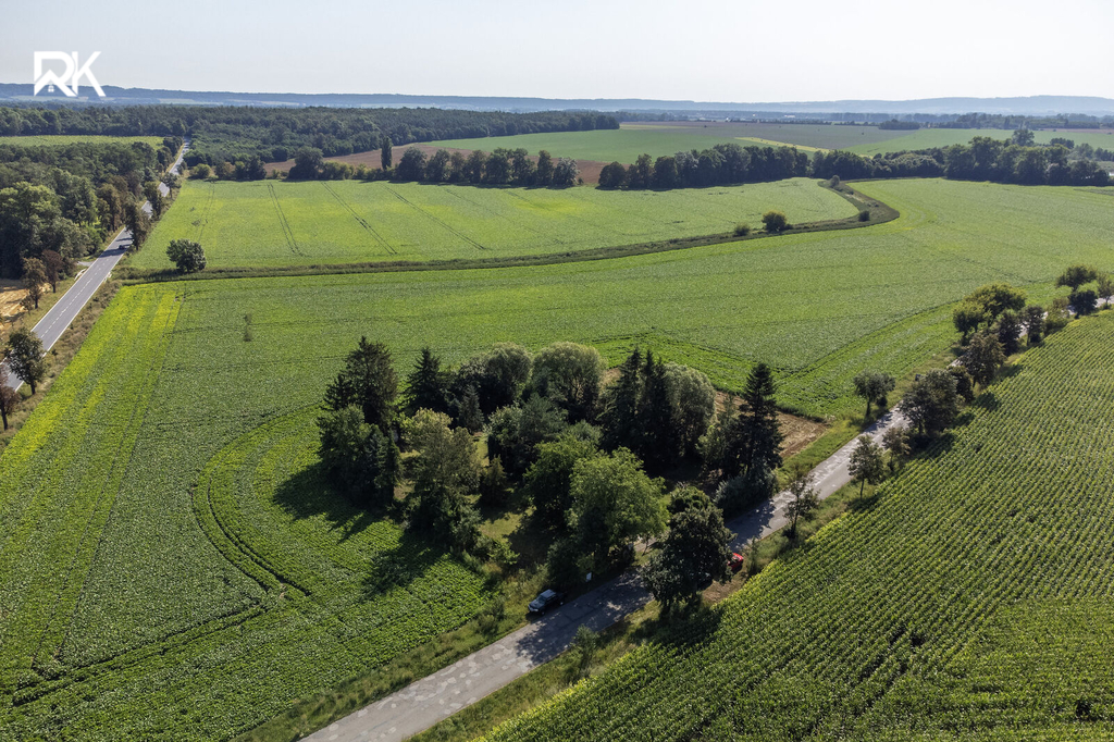 dji-0032d.jpg