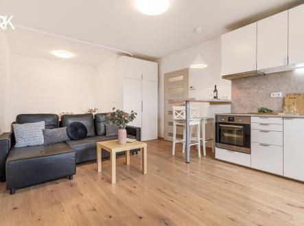 Prodej bytu, 1+kk, 1 919 m²