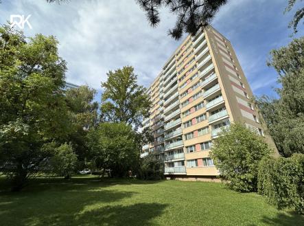 Prodej bytu, 1+1, 25 m²