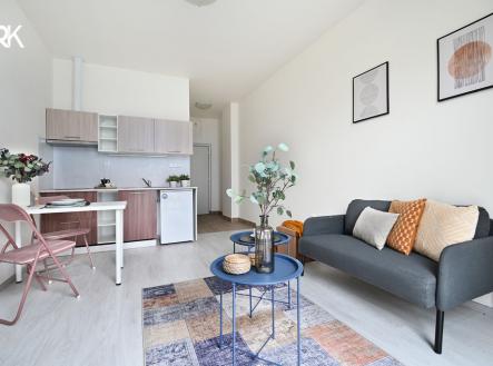 Prodej bytu, 1+kk, 24 m²