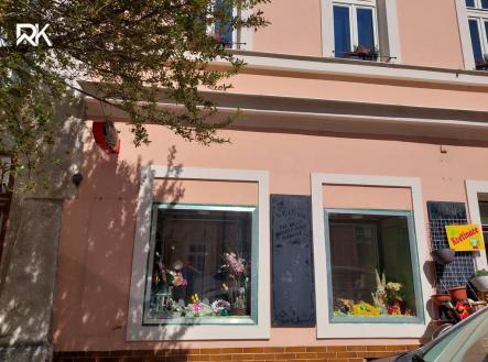 Pronájem obchodní prostor, 44 m²
