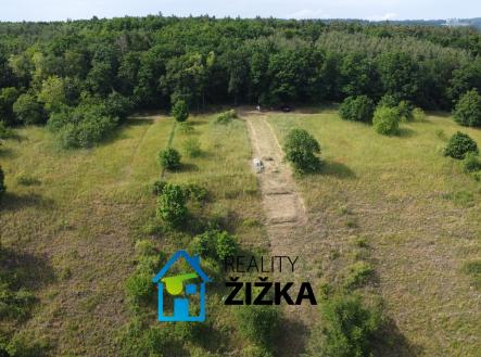 Prodej pozemku, zahrada, 942 m²