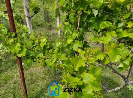 Prodej pozemku, zahrada, 942 m²