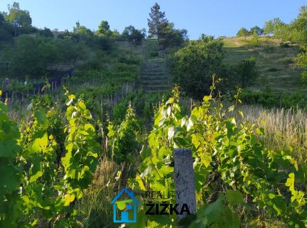 Prodej pozemku, zahrada, 942 m²