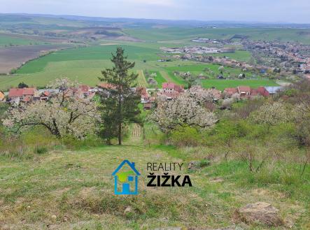 Prodej pozemku, zahrada, 942 m²