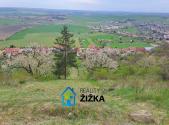 Prodej pozemku, zahrada, 942 m²