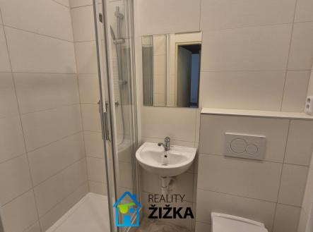Pronájem bytu, 1+1, 47 m²