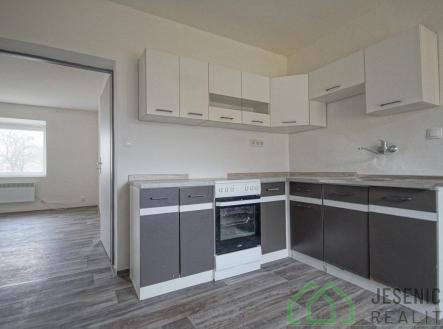 Pronájem bytu, 1+1, 44 m²