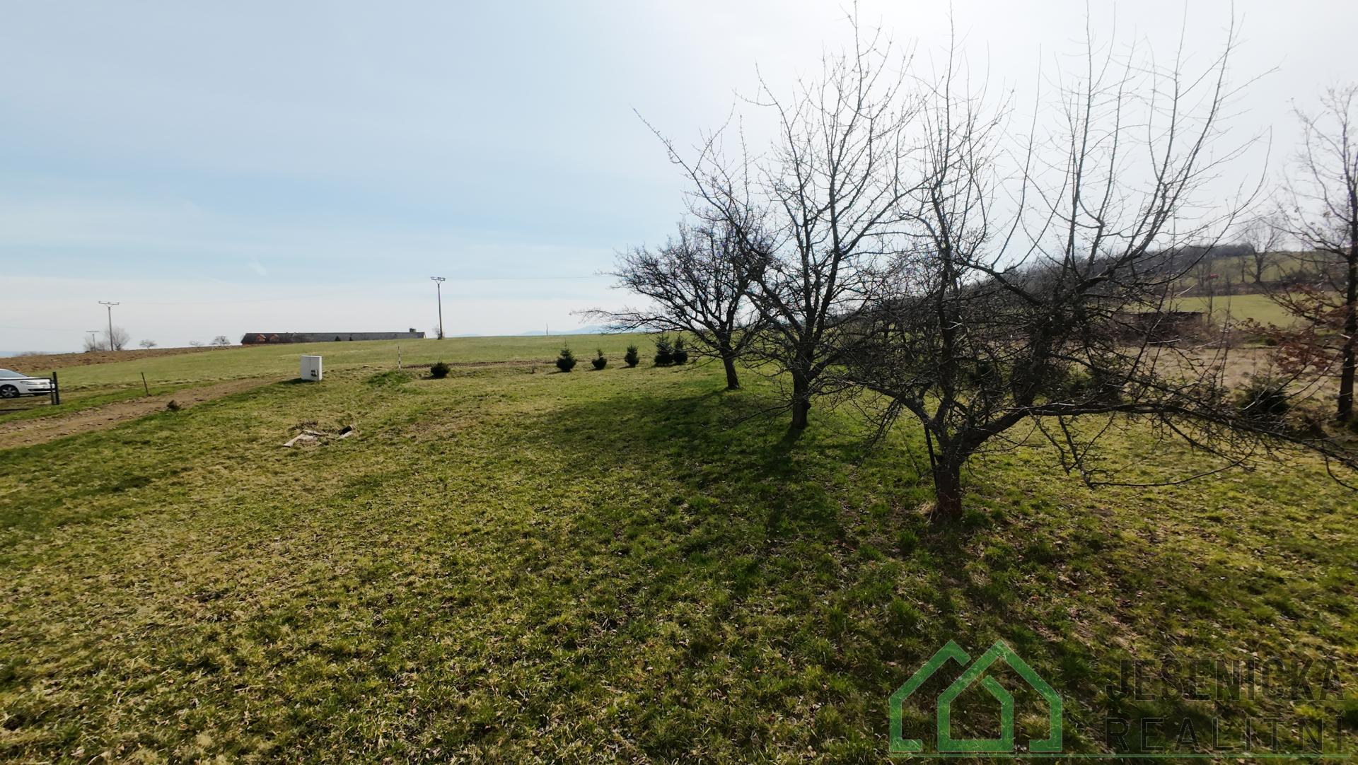 DJI_20260324130617_0068_D.JPG