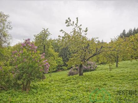 Prodej pozemku, trvalý travní porost, 2 772 m²