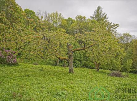 Prodej pozemku, trvalý travní porost, 2 772 m²
