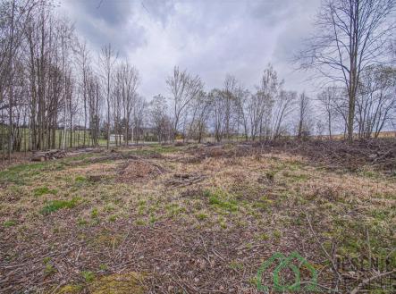 Prodej pozemku, zemědělská půda, 6 787 m²