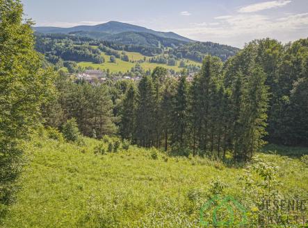 Prodej pozemku, zemědělská půda, 12 392 m²