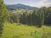 Prodej pozemku, zemědělská půda, 12 392 m²