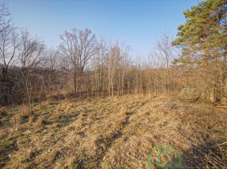 Prodej pozemku pro bydlení, 15 640 m²