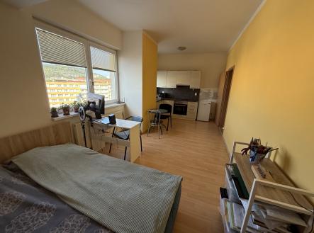 Pronájem bytu, 1+kk, 27 m²