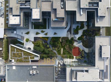 Pronájem kanceláře, 684 m²