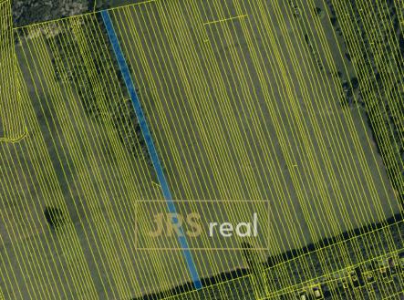 Prodej pozemku, zemědělská půda, 7 019 m²