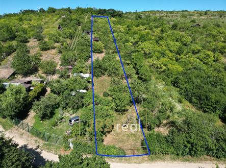 Prodej - pozemek, zahrada, 1 698 m²