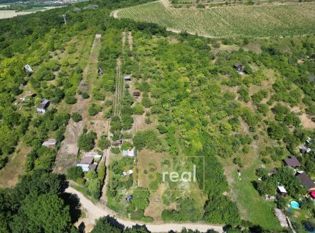 Prodej - pozemek, zahrada, 1 698 m²
