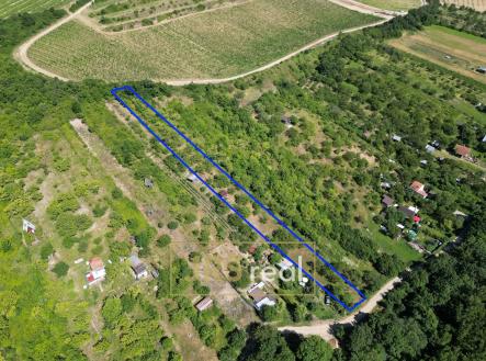 Prodej - pozemek, zahrada, 1 698 m²
